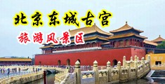 吟-V...粉嫩奶头美乳,拨开内裤掰穴中国北京-东城古宫旅游风景区